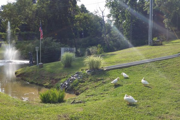 Hotel ACORN HILL LODGE (Lynchburg)